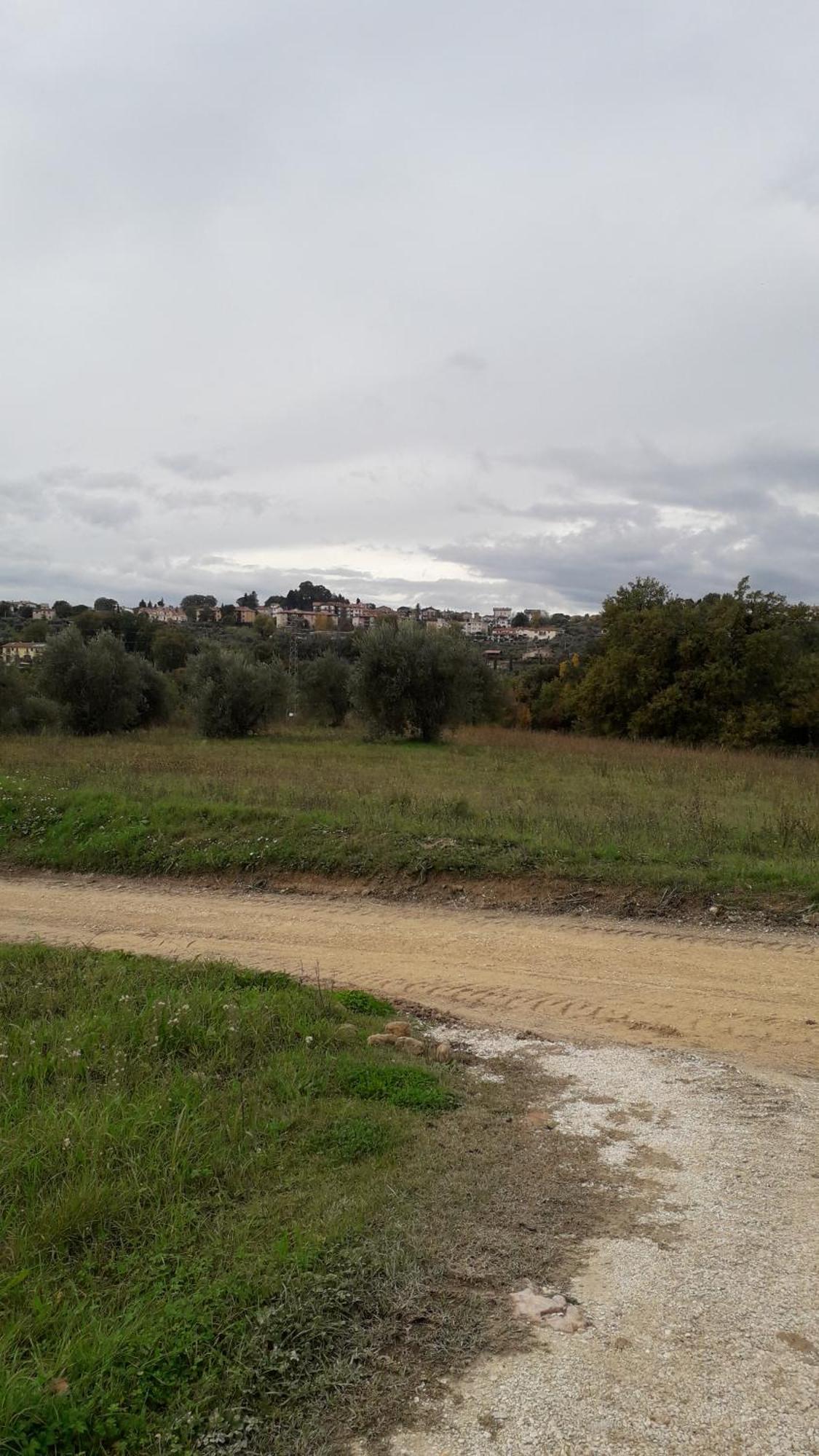 Agriturismo Marinella Amelia Dış mekan fotoğraf