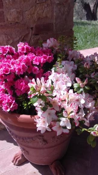 Agriturismo Marinella Amelia Dış mekan fotoğraf